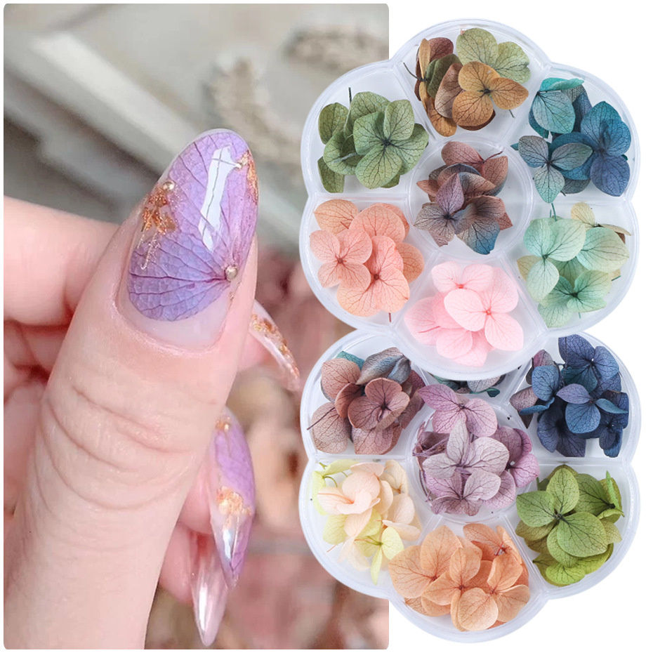 สีทาเล็บดอกไม้แห้ง